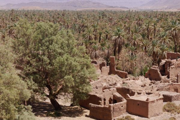 Jour 2 : Ouarzazate – M’hamid, désert du Maroc
