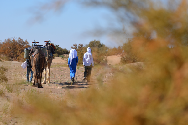 Jour 4 : Erg Chegaga – Randonnée au désert du Maroc.