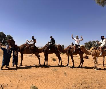 Touristes en randonnée à dos de dromadaire dans le désert marocain près de Ouarzazate