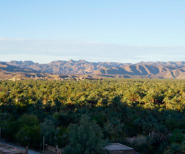 Vallée verdoyante du Drâa bordée de palmiers avec vue sur les montagnes – circuit désert depuis Ouarzazate