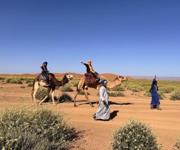 Balade à dos de dromadaire dans le désert du Sahara au départ de Ouarzazate – circuit 4 jours Maroc