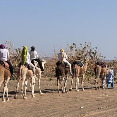 Circuit désert au départ de Ouarzazate 4 jours et 3 nuits