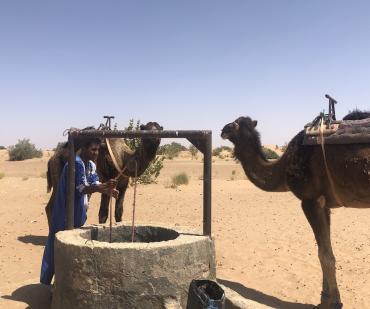 Nomade avec dromadaires au puits dans le désert marocain pendant un circuit de 5 jours depuis Ouarzazate