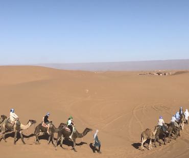 Caravane de dromadaires dans les dunes dorées du désert marocain lors d'une excursion de 5 jours depuis Marrakech