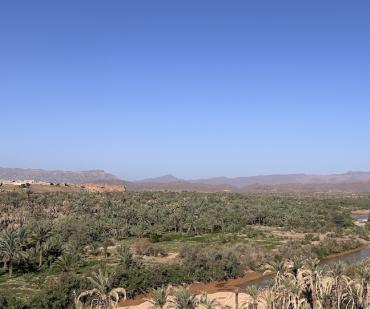 Oasis verdoyante avec palmiers et rivière dans la vallée du Drâa, étape emblématique d’un circuit 4x4 dans le sud marocain depuis Marrakech