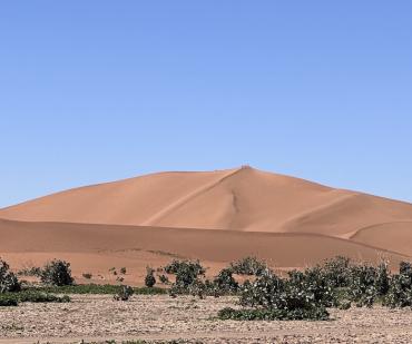 Vue panoramique des dunes de sable doré dans le désert du Sahara marocain lors d’un circuit de 6 jours au départ de Marrakech
