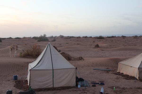 Day 4 : Erg Ait Ounir To Mhamid